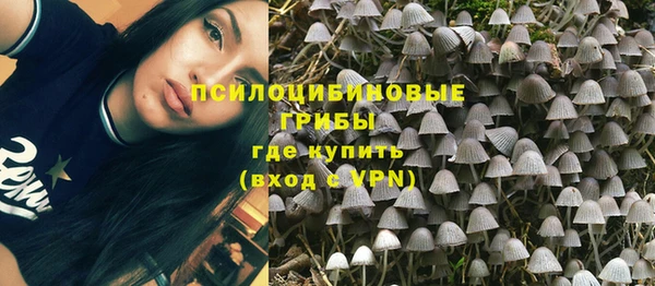 молекула духа Беломорск
