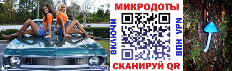 Псилоцибиновые грибы Psilocybine cubensis  Мостовской 